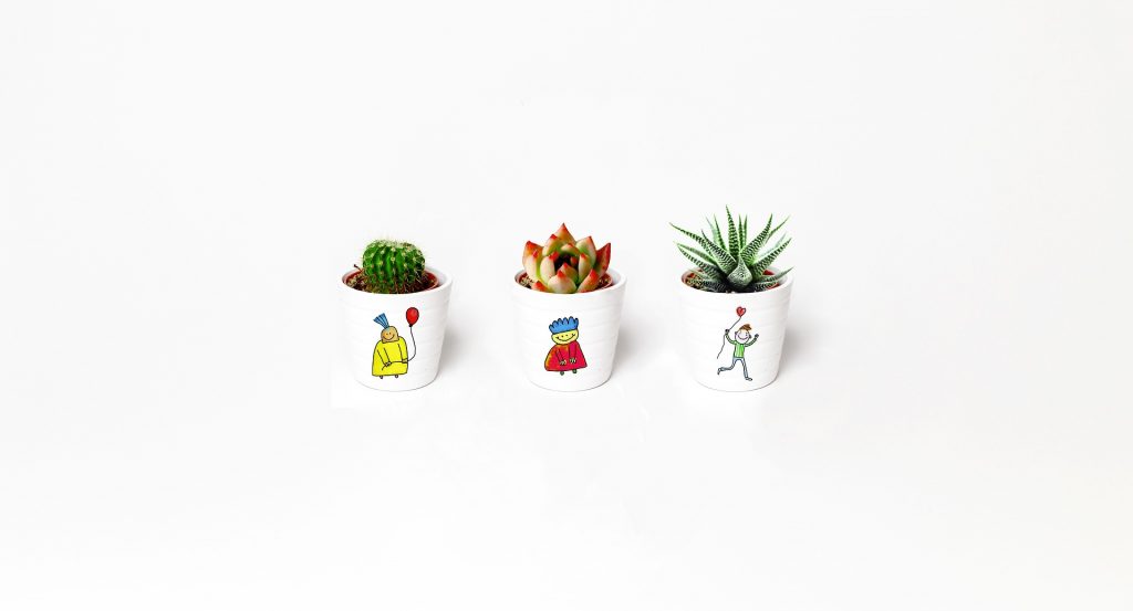 Macetas originales online para cactus pequeños